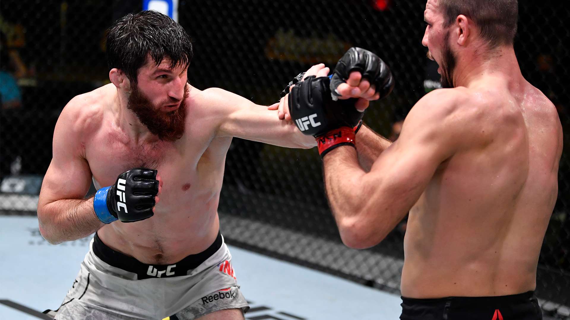 真正的強隊 真正的強隊